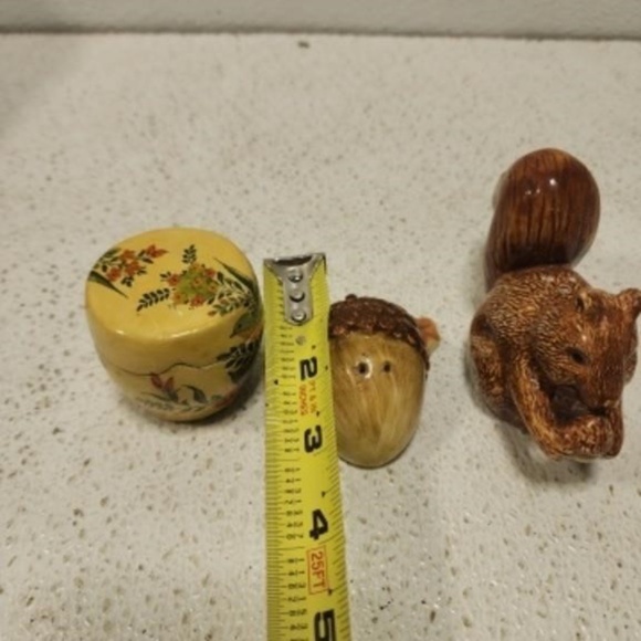 Fall Decor Salt Pepper Shakers Treasure Box Autumn Home Kitchen Squirrel Acorn - Picture 1 of 14